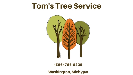  tree trimming,tree service, tree removal, stump grinding, lot clearing, trimming