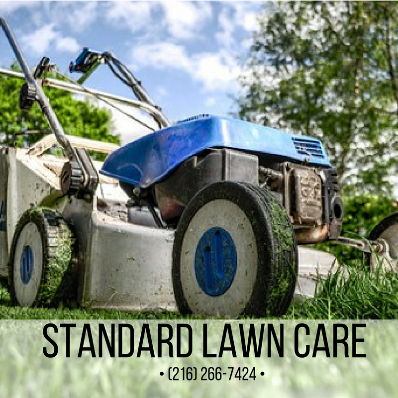 Lawn Care, Snow Plowing, Grass Cutting, Tree Trimming, Aeration