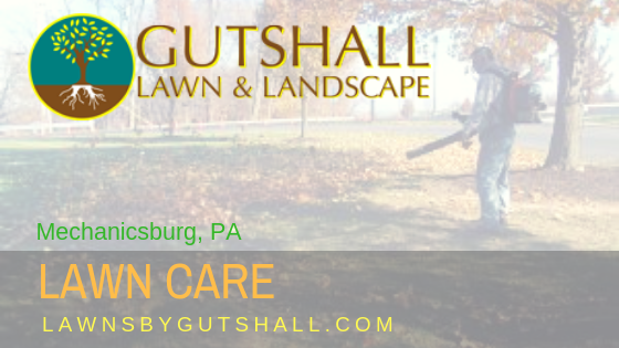 Lawn, Landscape, Snow And Ice Removal, Mulch, Spring Clean Ups, Fall Clean Ups, Specialized Lawn Maintenance Large Residential