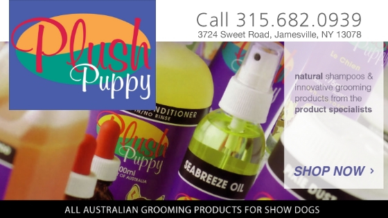 Pets, Pet Grooming, Comfy K9, Show Dog Supplies, Grooming product company, Natural show dog supplies, Dog coat products, shampoo, dog shampoo, dog treats, dog leashes, leashes, blow dry cream, pet supply, itchy