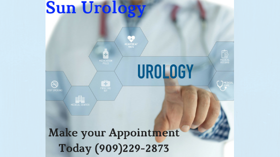 Laparoscopic and Endoscopic surgery, Oncology, and Female urology  