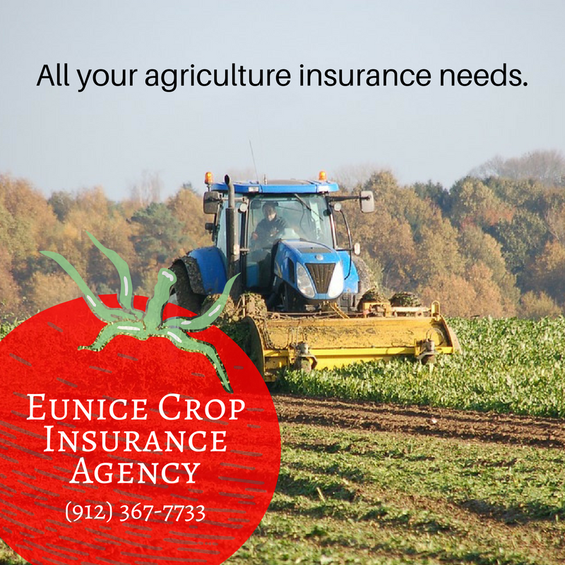 crop insurance,agriculture insurance
