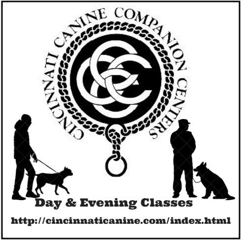 dog trainning,agility,conformation ,private lessons,rally classes,ovidience classes ,work with agressive dogs. vet recomended