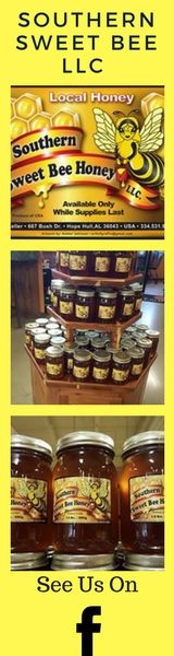 HONEY BEE SWARM REMOVAL IN 36043, LOCAL HONEY IN 36043, SOUTHERN SWEET BEE LLC, CANDLES, BEES WAX NATURAL PRODUCTS, queen bee
