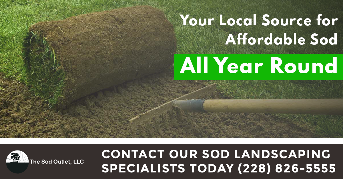  sod supplier wholesale sod mississippi gulf coast turf supplier sod installing landscaping