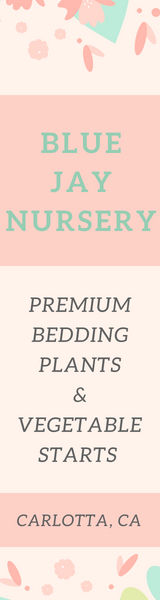 wholesale plant nursery,production grower vegetables, flowering plants,wholesale grower, premium annuals