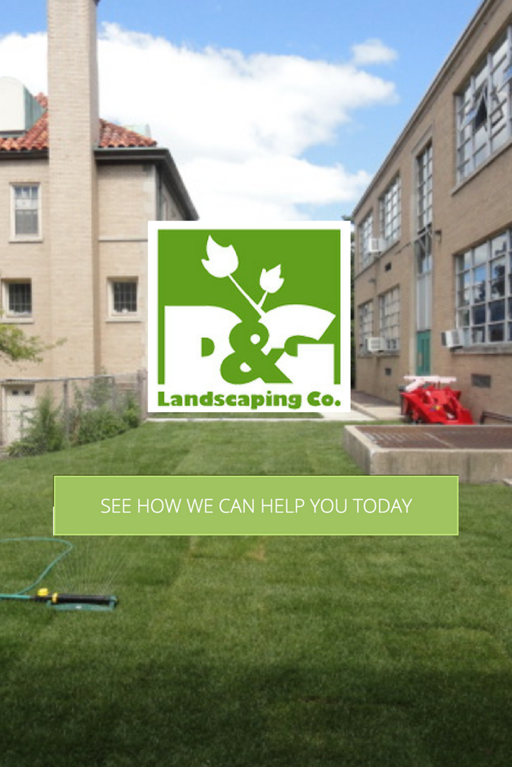 landscaping company, lawn care, lawn maintenance, hardscape, tree service