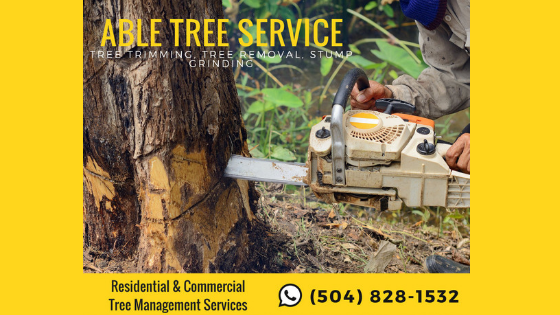 tree trimming, tree removal, stump grinding, tree services, stump removal