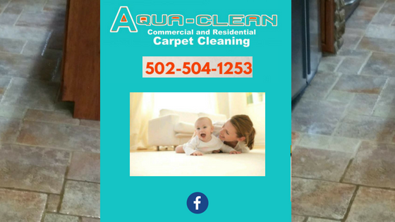 Carpet Cleaning, Tile Cleaning, Upholstery Cleaning, Air Duct Cleaning, Hardwood Cleaning, Area Rugs, Area Rug Cleaning, Tile and Grout Cleaning, Mattress Cleaning