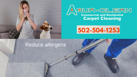 Carpet Cleaning, Tile Cleaning, Upholstery Cleaning, Air Duct Cleaning, Hardwood Cleaning, Area Rugs, Area Rug Cleaning, Tile and Grout Cleaning, Mattress Cleaning
