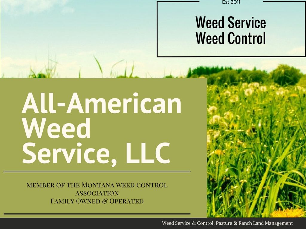 weed control, noxious weed, field mowing, pasture management, ranch land management, horse pasture management, subdivisions, parks, industrail sites, invasive weeds, gravel drive ways, bare ground, road right of ways, grass lands, rangelands, weeds