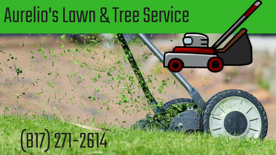 Lawn Care, Landscaping, Tree Services, Landscaping Services, Emergency Tree Services