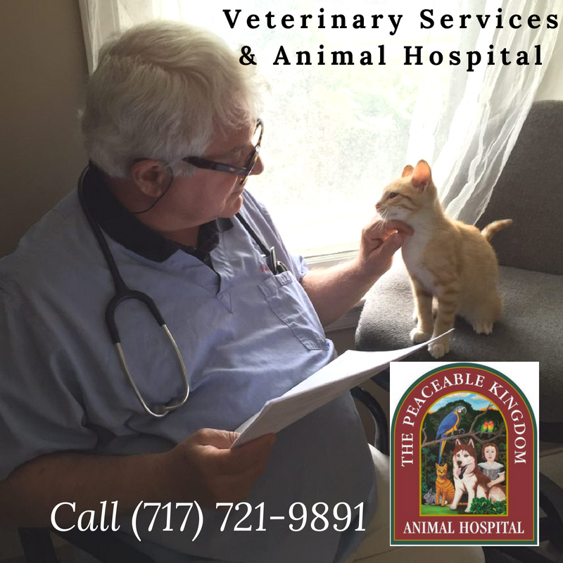 Wellness & Preventative Care, Pet Vaccinations, Laboratory Services, Digital Radiology, Surgical Services, Dentistry, Pharmacy, Laser Therapy & Services, Micro-chipping, Nutritional Counseling, End of Life Care