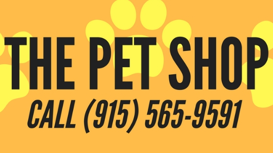 Pet Grooming, Pet Services, Dog Grooming, Pet Bathing, Pet Spa, Dog Spa, Pet Haircut, Dog Haircut, Cat Grooming, Cat Bathing, Cat Spa