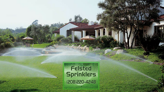 Sprinklers, Irrigation, Sprinkler Services, Irrigation Services, landscaping, Blow-outs, Turn ons, Rain Bird, Hunter, Irritrol, Sod, 