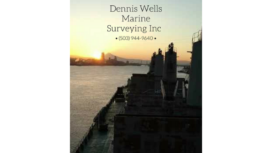 marine surveyor draft survery cargo hold cleanliness survey bunker survey cargo hold inspections P&I survey
