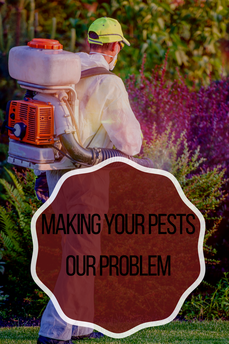 Pest control service, reecpstionm, termite control, pest control, moisture control, wildlite removal, well & septic inspections, senior citizens discounts