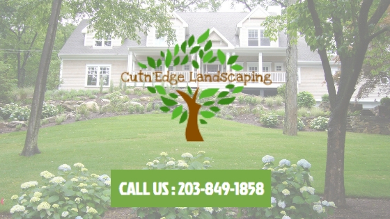  landscaping, masonry, commercial, design build maintain,