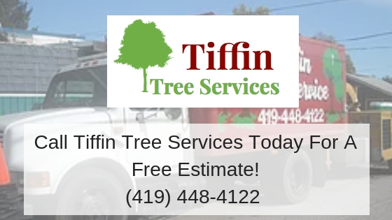 Residential Tree Service, Arborist, Tree Trimming, Tree Removal, Storm Damage, Storm Clean Up, Free Estimates, Family Owned And Christian Based