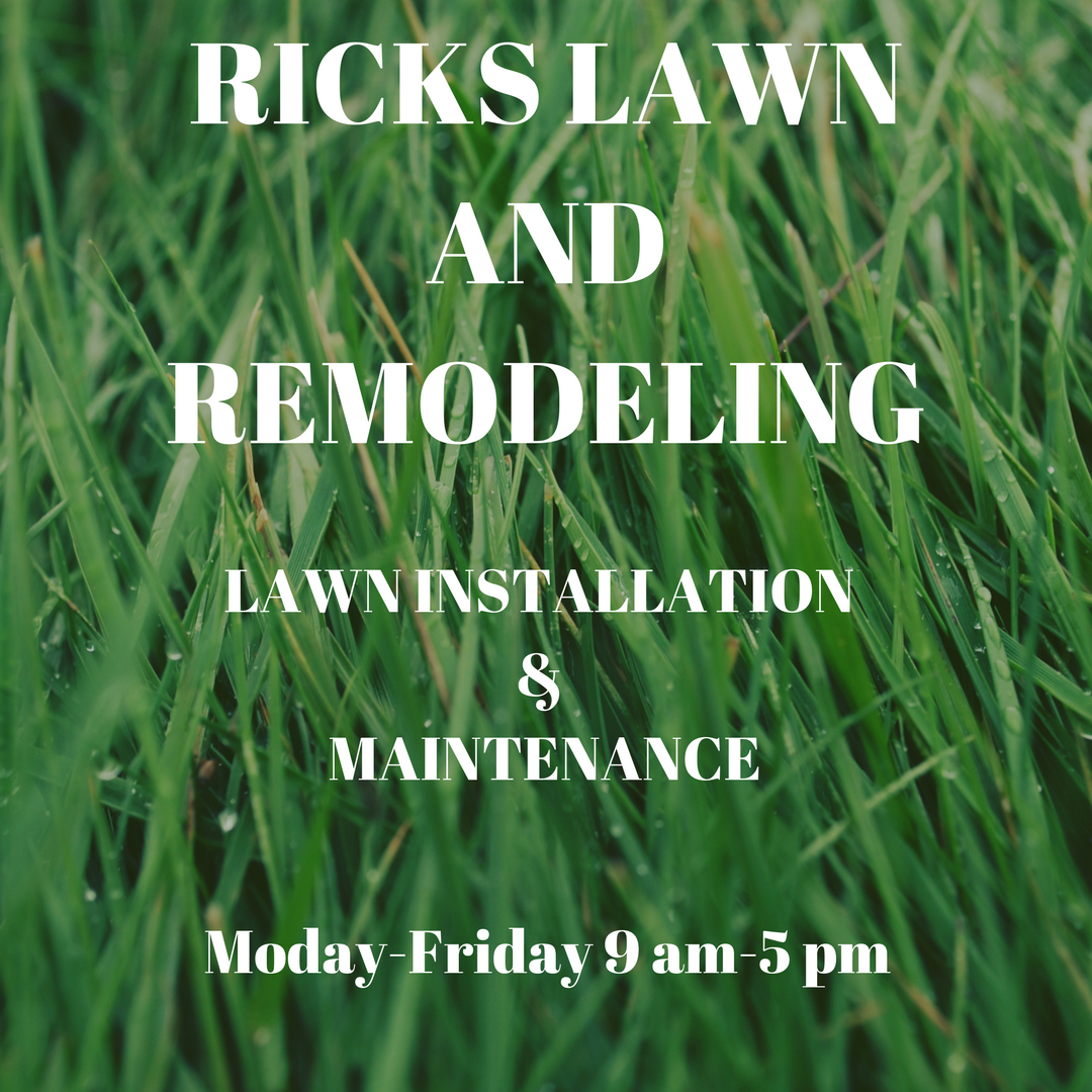 Landscaper, lawn service, lawn mower, landscaping, best land scaping, gardner, lawn maintenance