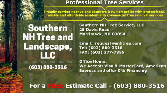 Tree service, tree pruning, stump removal, stump grinding, commercial tree service, residential tree service