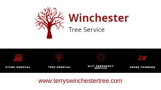 Tree Services, Hedge Trimmer, Stump Removal, tree removal, 24 hour emergency,