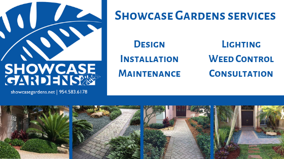 Landscape, Design, Installation, Maintenance, Landscaping, Landscaping Services, Iguana Control, Landscape Lighting, Commercial, Residential, Installation, Repair, Weed Control