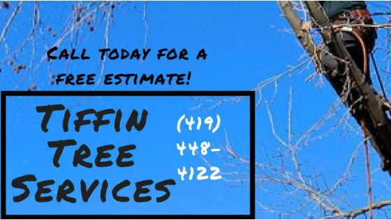 Residential Tree Service, Arborist, Tree Trimming, Tree Removal, Storm Damage, Storm Clean Up, Free Estimates, Family Owned And Christian Based