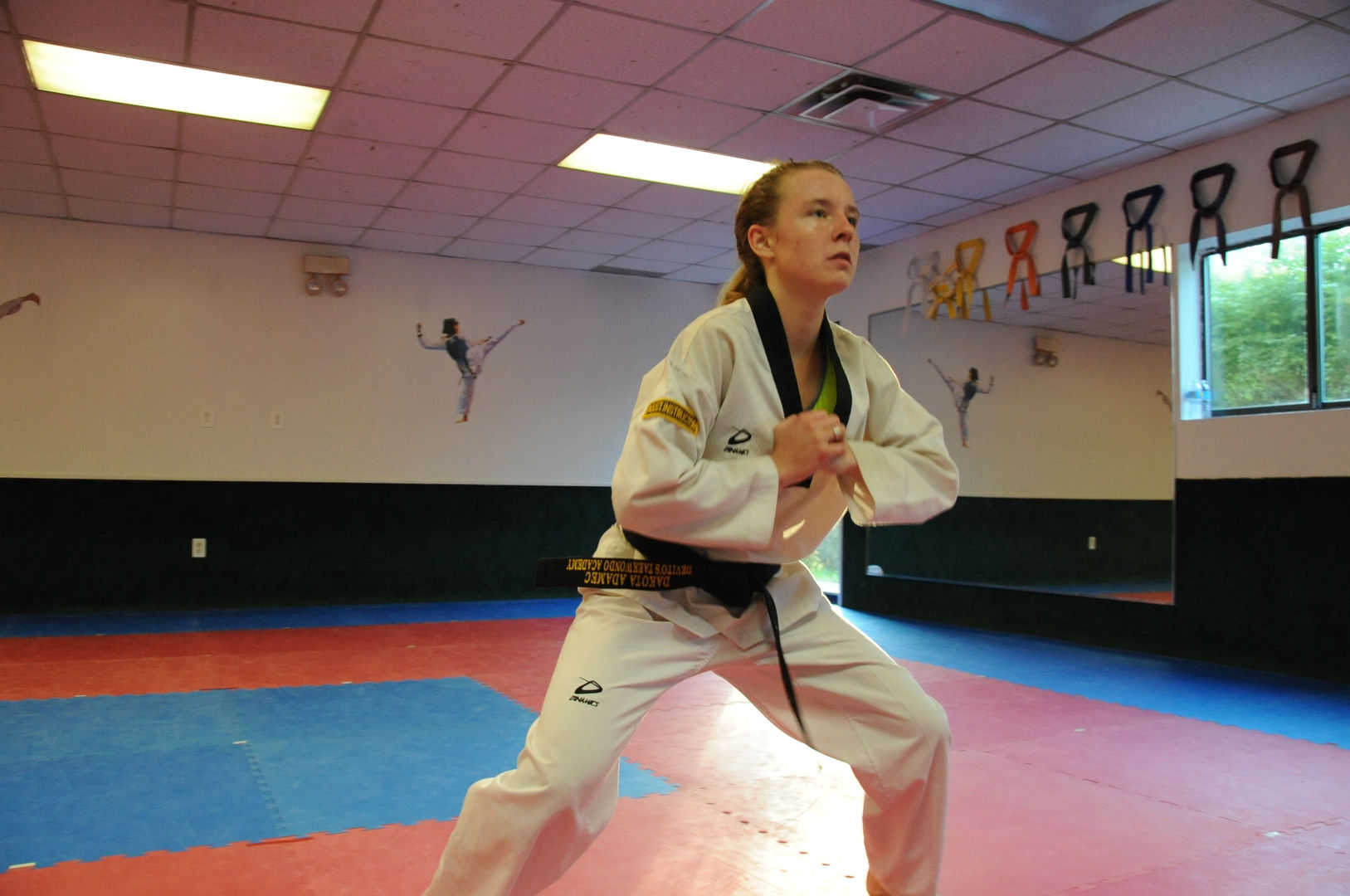 Taekwondo, Martial Arts School, Kickboxing, Cage Fitness, Self Defense