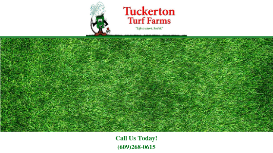 Turf Installation, Athletic Fields, Turf Blend Grasses, Turf Grass Installation, Durable Turf Grass, Landscapers, Turf Grass, Landscape Professionals, Quality Grass