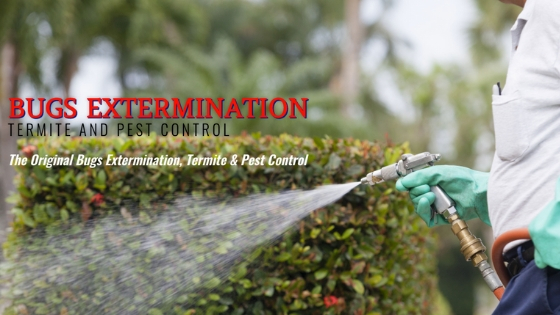 pest control  termite control  lawn care  lawn poison  fumigation  soil poisoning  bugs  insect control
