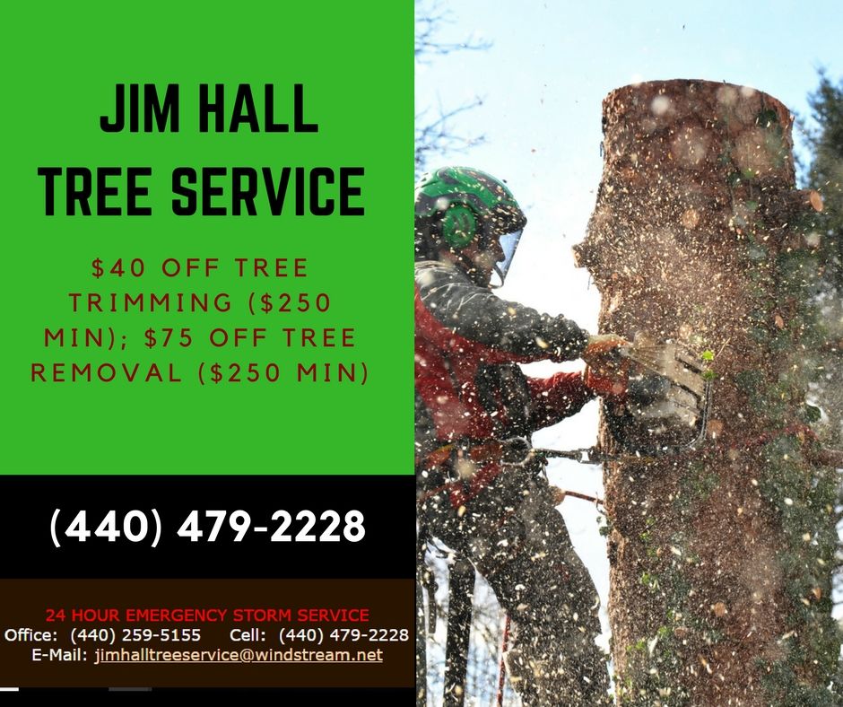 tree removal, tree trimming, stump grinding, crane service, 24-hour storm damage service