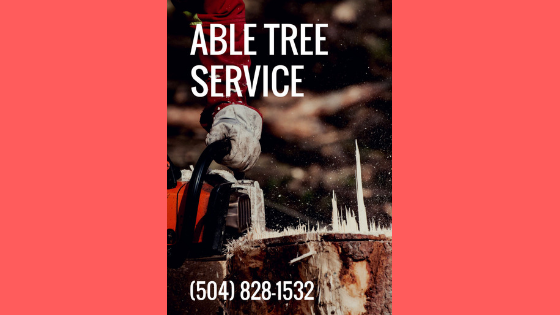 tree trimming, tree removal, stump grinding, tree services, stump removal