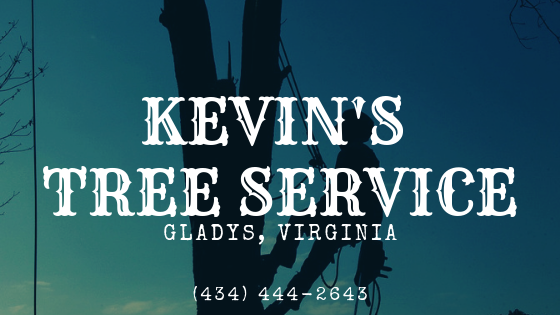KEVIN'S TREE SERVICE
