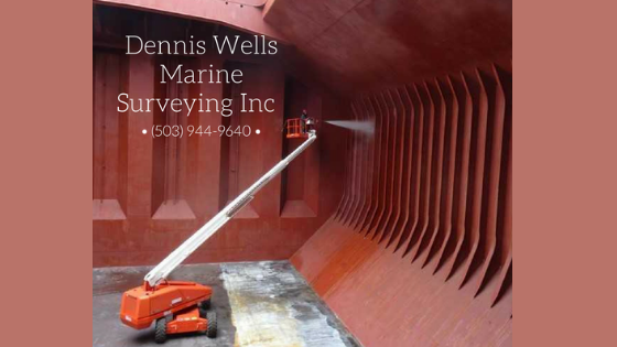 marine surveyor draft survery cargo hold cleanliness survey bunker survey cargo hold inspections P&I survey