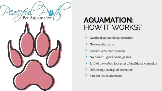 Pet Crematorium, Aquamation,