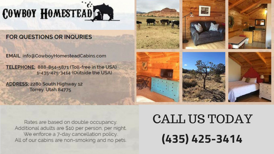 Cowboy Homestead Cabins Hotels Events 2280 Ut 12 Torrey Ut