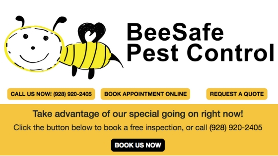 Pest Control, Termite Treatment, Pest Control Preventative Maintenance, Bee Removal