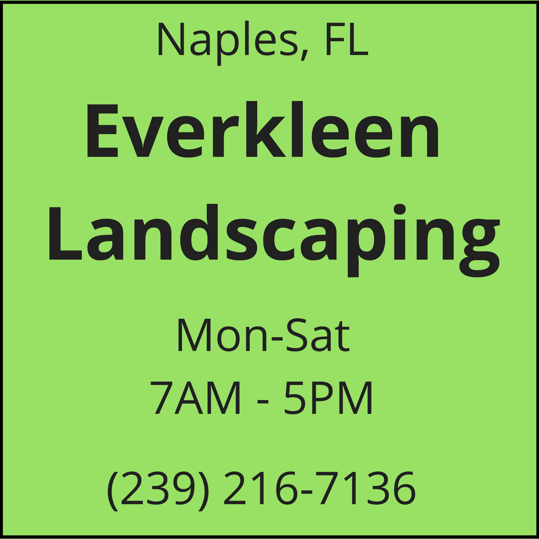 LANDSCAPING SERVICE, TREE SERVICE, IRRIGATION MAINTENANCE, lawn maintenance