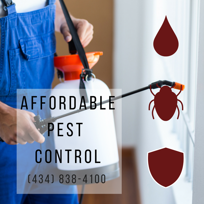 Pest control service, reecpstionm, termite control, pest control, moisture control, wildlite removal, well & septic inspections, senior citizens discounts