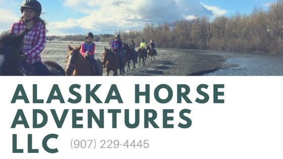 Adventure, Horseback Riding, Knik Glacier, Outdoor Activities, Sleigh Rides