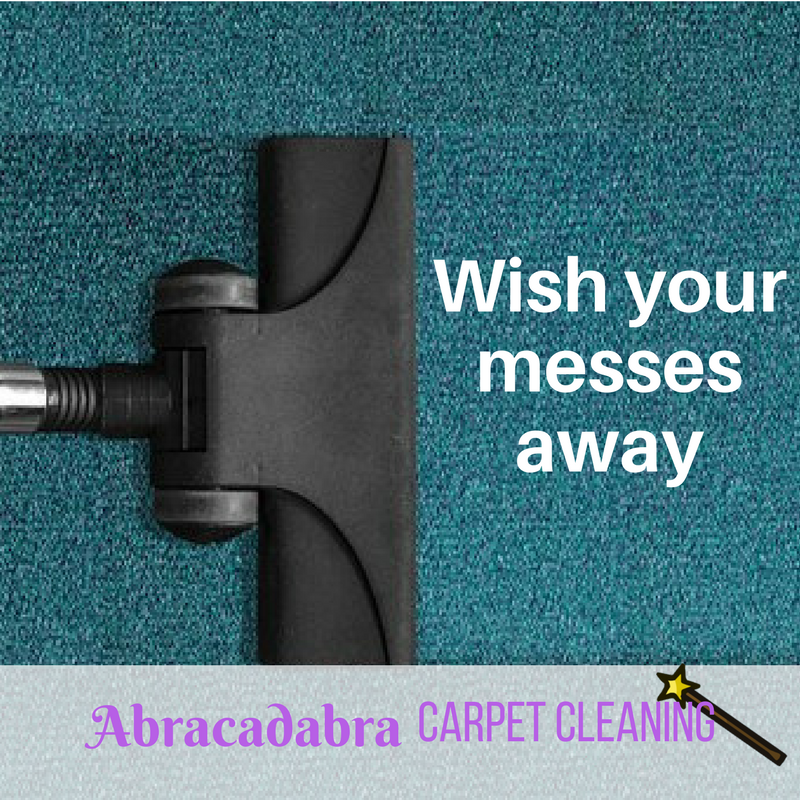 Residential and Commercial Carpet Cleaning, Tile Floor Cleaning, Upholstery Cleaning, Water Damage Repair, Janitorial Services, Master Restoration Cleaner, Master Cleaner, Master Carpet Cleaner, Biodegradable Cleaning