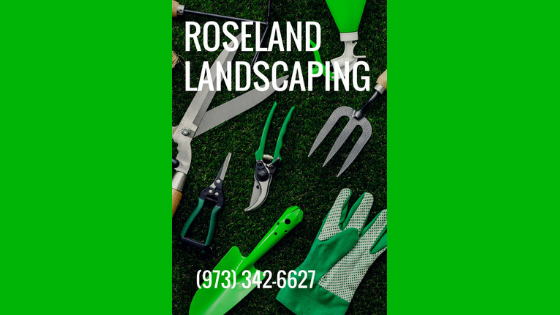 Roseland Landscaping is a family owned and operated business with 40+ years of experience in this industry, We offer services in lawn maintenance, mulching, trimming, top soil, seeding, spring and fall cleanups.