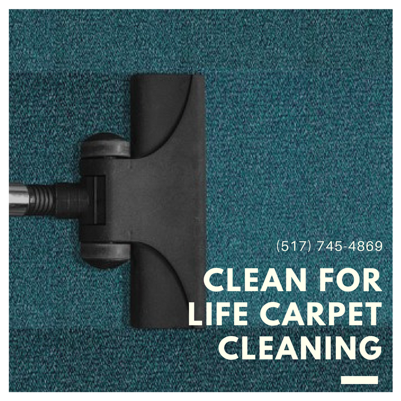 Carpet Cleaning, Upholstery Cleaning, Pet Stain Removal, Deodorizing, Soil Protector