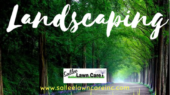 irrigation, mowing, sprinkler repair and installation, fertilization, crack and creves spraying, landscaping maintenance and installation, lawn maintenance, right of way spraying, residential and commercial lawn maintenance