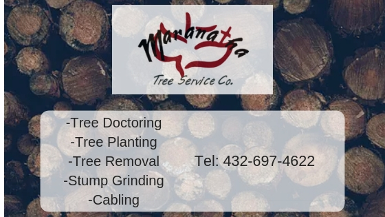 tree removal service, tree services, tree doctor, tree consultant, tree diagnosing, oakwill treatments, oakwill certified, certified aroborist,, tree planting, stump planting