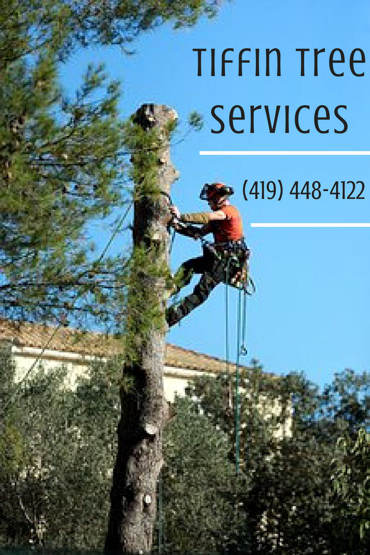 Residential Tree Service, Arborist, Tree Trimming, Tree Removal, Storm Damage, Storm Clean Up, Free Estimates, Family Owned And Christian Based