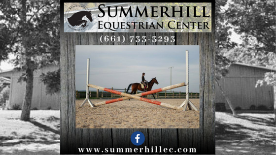 Horse Care, Horse Boarding, Horse Training, Horse Lessons, 80 Private Acres, Private Horse Trails, Private Horse Trails, Angles National Forest