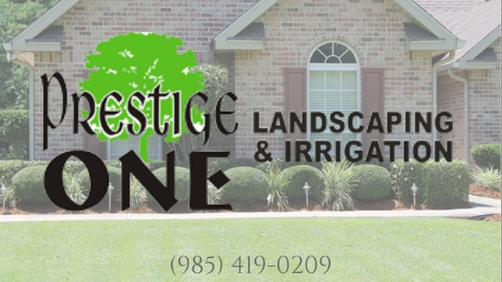  Landscaping, Grass Cutting, Landscape Lighting, Irrigation Installation, Christmas Decorating , Fertilizer