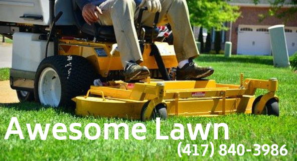 Lawn Maintenance, Landscape Landscaping, Grass Cutting, Edging, Hedge Cutting, Mulch, Brush Cleaning, Christmas Lights, Snow Plowing, Leaf Removal, Leaf Cleanups, 